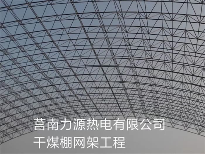 九龙坡力源热电有限公司干煤棚网架工程